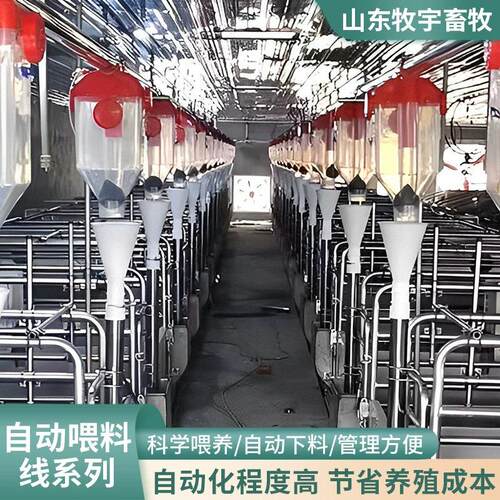 养猪料线全自动赛盘链条上料线养殖场饲料输送料线猪舍上料设备