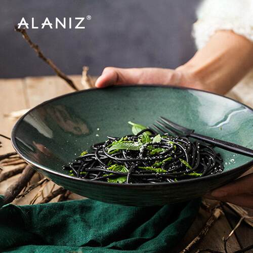 alaniz南兹水之生灵创意陶瓷碗沙拉碗覆古面 面碗家用饭碗冷面 面
