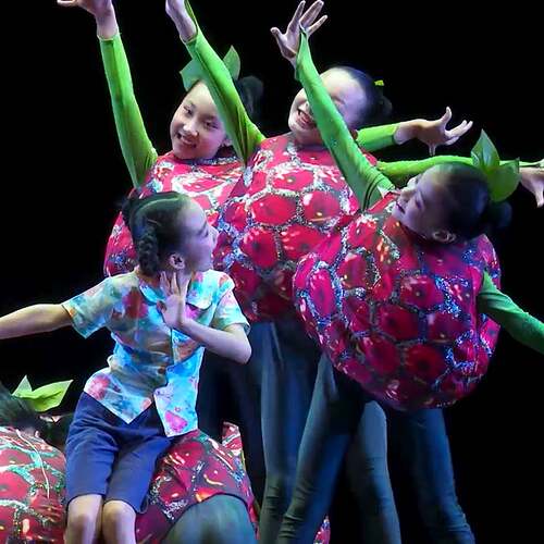 广东省第五届幼儿舞蹈大赛荔枝红瞭儿童表演服装幼儿群舞演出服装