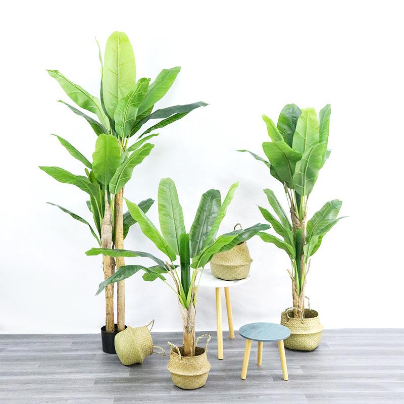 亚马逊大型仿真植物芭蕉树盆栽橱窗落地装饰热带绿植香蕉树盆景