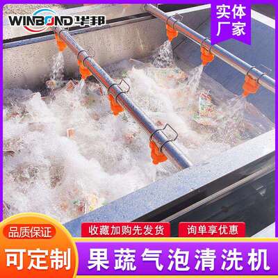 全动青辣椒清洗流水线 多功能气泡果LGX清洗设备 圣女果苹清洗自