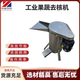 硬质核果工业去核机 大产能多功能脱核器 龙眼大枣橄榄脱核机