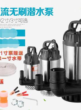 潜水泵无刷直流排水泵直流泵24V48V60V电动车直流泵抽水泵农用泵