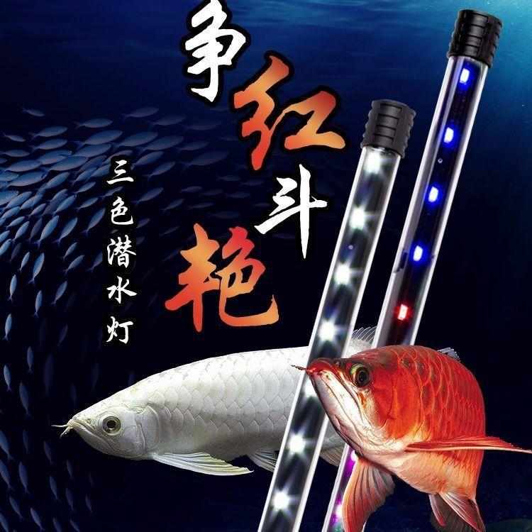 LED龙鱼缸灯水陆两用水中照明灯LED水草水族箱潜水led照明防水灯