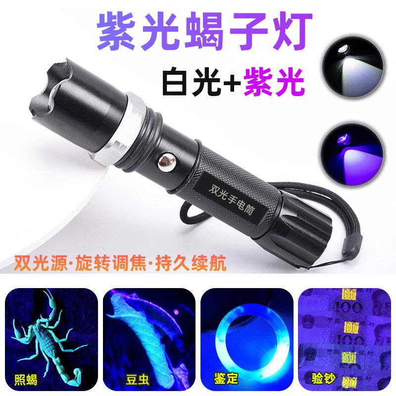 紫白双光源手电筒强光专用蝎子灯照豆虫395紫光灯变焦充电验钞灯a