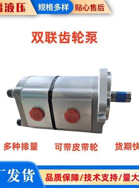 121715小型挖掘机齿轮泵微挖配件农用挖掘机液压配件