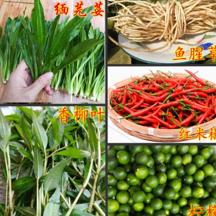 德宏香料缅芫荽香柳叶鱼腥草柠檬小米辣总500g可随意切换香料组合