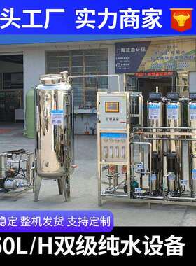 250升双级反渗透设备大型工业净水处理设备RO纯净水设备去离子机