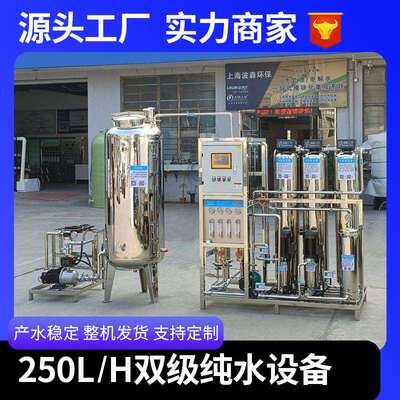 250升双级反渗透设备大型工业净水处理设备RO纯净水设备去离子机