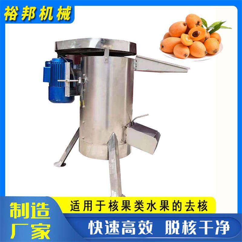大型工业枇杷脱核机脱核率高不锈钢酸枣桃子樱桃榴莲去核粉碎机