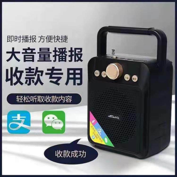 手提音箱家用广场舞便携话筒带收音机无线蓝牙户外音响低音炮