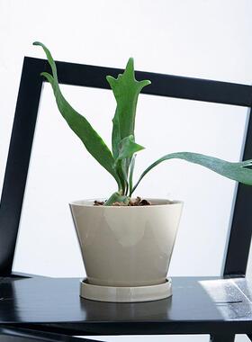 日式复古盆套栽盆轻奢釉面兰蝴蝶兰专用绿色家盆HJD041S用花陶瓷