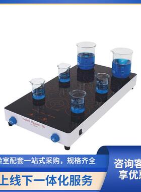 多联加热型磁力搅拌器5联/10联/15联，MS-15H，15个工位