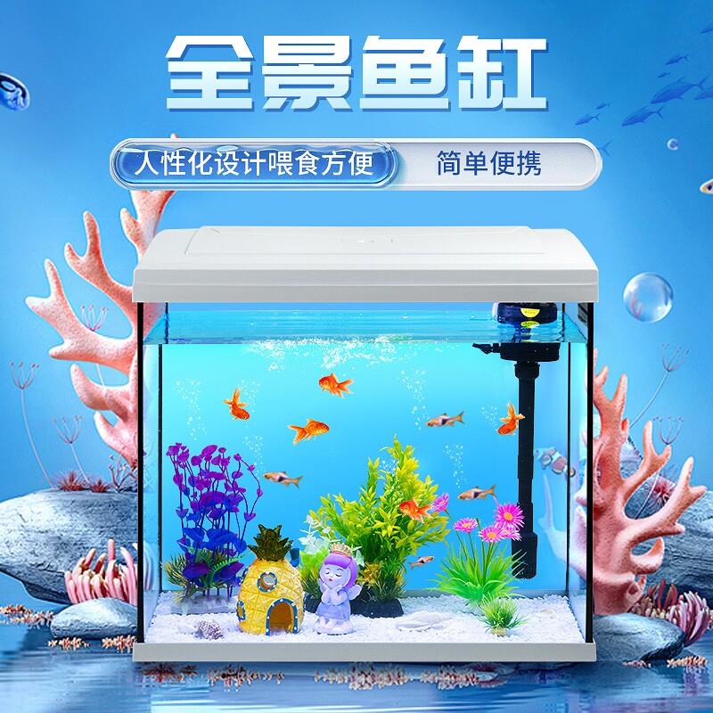 鱼缸免换水客厅金鱼缸玻璃懒人桌面家用造景生态中小型水族箱增氧