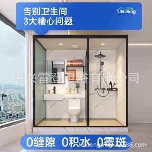 喜雷登一体式 沐浴房农村厕所家1.91 卫生间用浴室澡干洗996湿分离