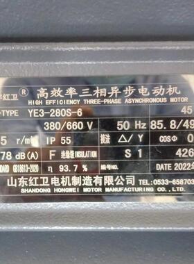 山东厂家直供YE3-280S-6/45W低噪音三相异步电动机