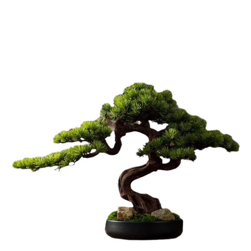植物实木摆件黑松盆景绿植迎客松罗汉松办公室玄关松针客厅摆件