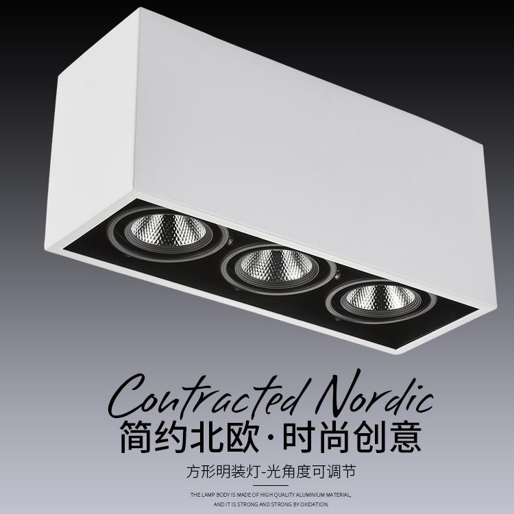 格栅灯明装四头可调灯吸顶明装方形三头2W7W1c双头斗胆灯豆胆射ob