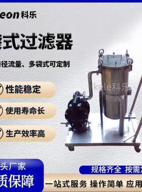 不锈钢食品级袋式液体过滤器设备制固液分离侧入顶入式过滤器