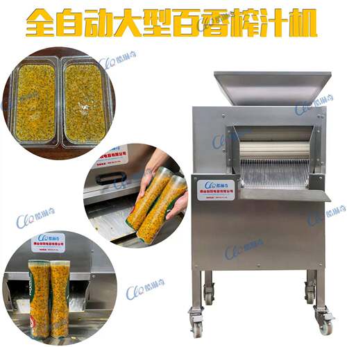 热销百香果果汁机原汁原味浆提取机大产量黄金果挖果浆机