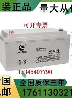 CONSENTGS12V65AH 应急照明UPS直流屏 机房 储能电源