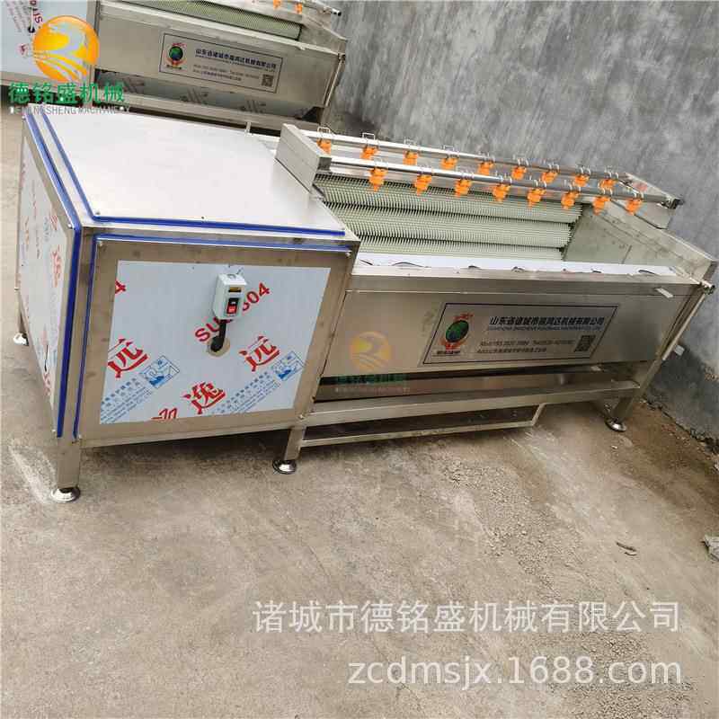 滚动式土豆去皮清洗机YZ不锈钢红薯毛刷清洗机洗芋头机器