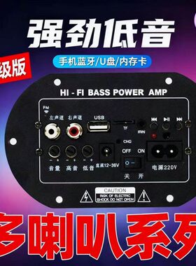 车载低音喇叭12V24V60V220V大功率蓝牙功放板3110主板3116桌面音