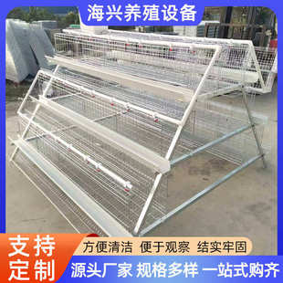 三层四层阶梯式蛋鸡笼供应出口蛋鸡养殖笼 阶梯式蛋鸡笼子全套