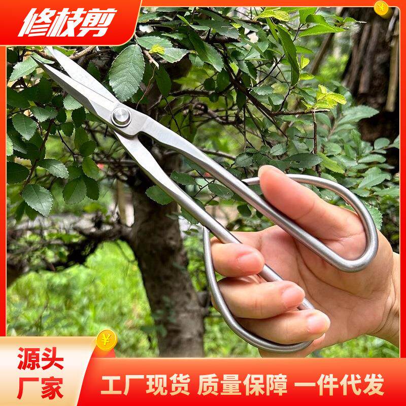 不锈钢叶芽剪 园艺剪修枝剪插花剪盘景剪 修剪果树枝园林工具