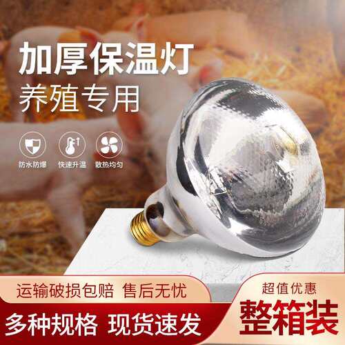 仔猪暖用保温灯殖场加厚灯泡小JDF鸡育养加雏热烤灯小猪取保暖灯