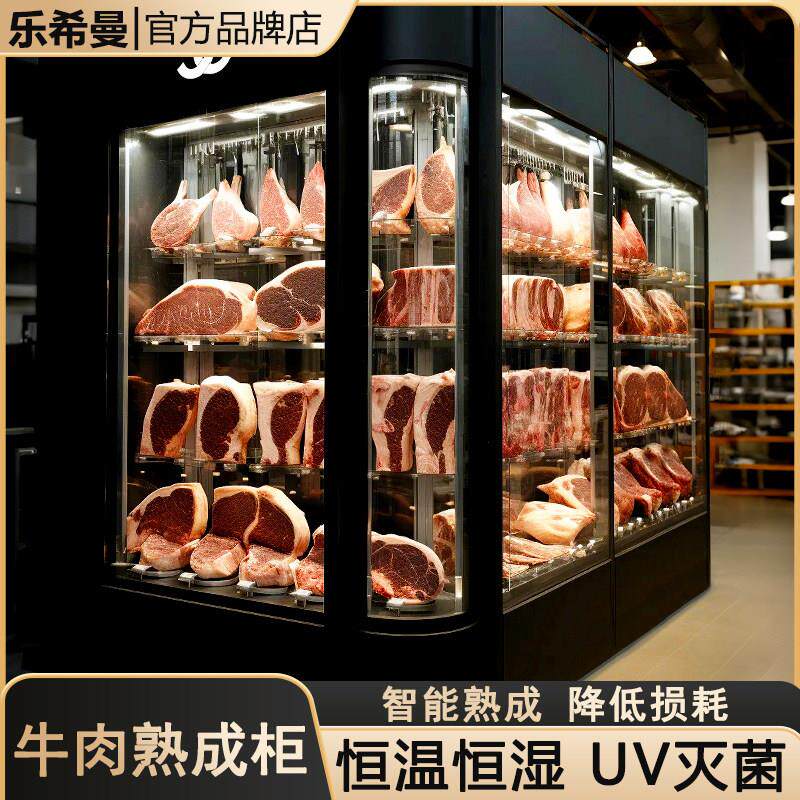 乐希曼干拭熟成柜牛肉排酸柜恒温深海鱼和牛烤肉冷藏展示柜商用