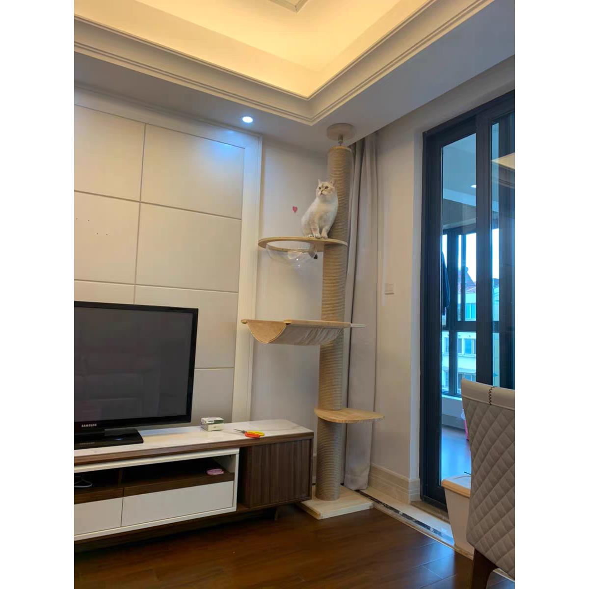 正品猫爬架实木通柱猫树天太空舱吊床猫柱顶天台立地猫窝猫跳抓猫