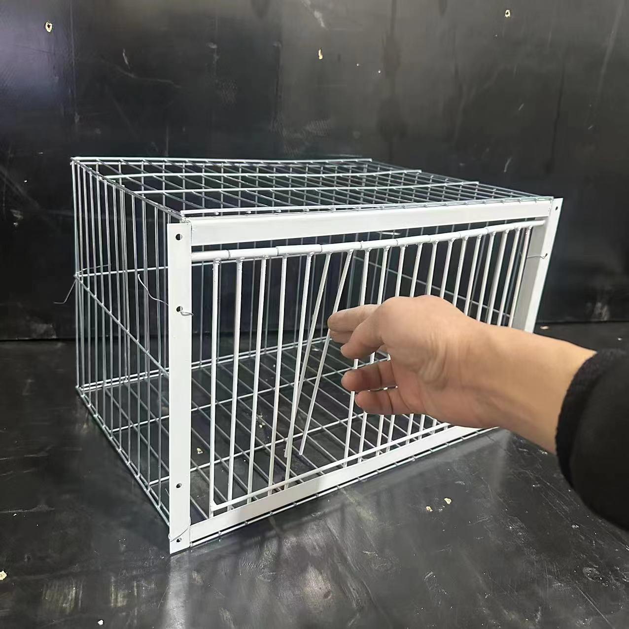 鸽子笼自动门屋顶鸽子活络鸟窝