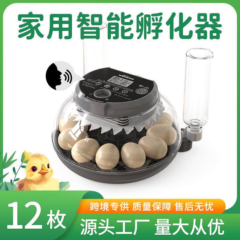新品12枚全自动孵化器鸡鸭鹅乌龟鹌鹑鹦鹉芦丁语音ai唤醒厂家直销