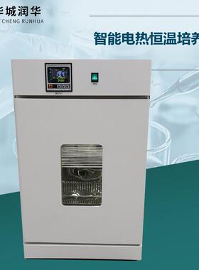 智能恒温培养箱数显恒温培养箱电热恒温储物柜