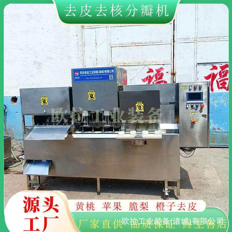 鲜桃去核分瓣设备 水果头全自动削皮去核加工生产线
