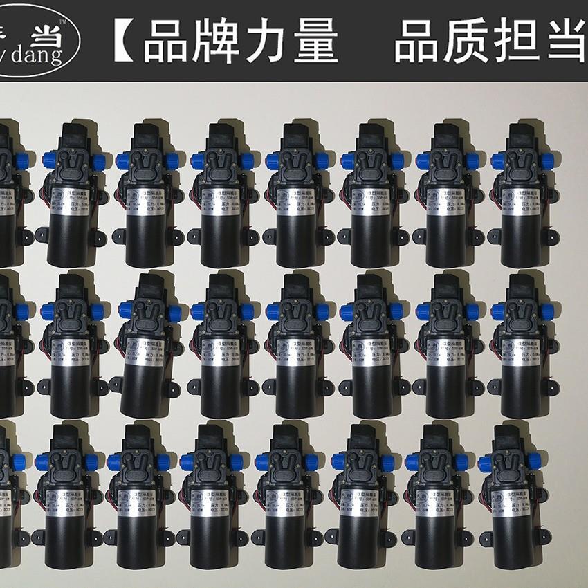 包邮4分接口小水泵家用微型水泵自吸泵直流12Ｖ抽水泵电泵