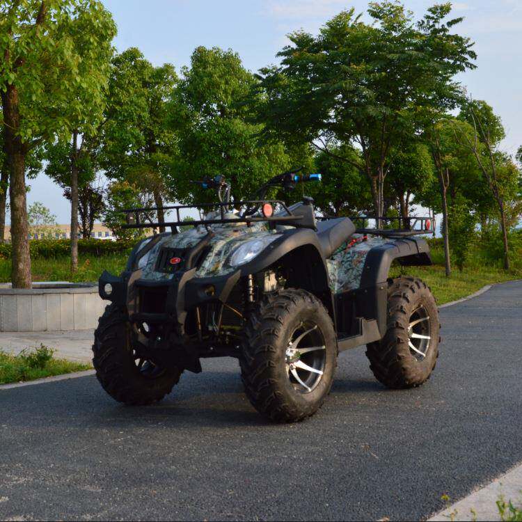 厂家直销250CC沙滩车四轮越野车全地形车成人强劲ATV动力大马力