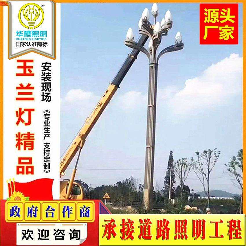 华腾玉兰灯市政广场景观灯8/12米景区led户外灯工程道路景观路灯