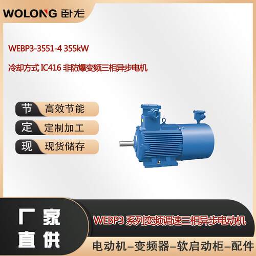 WEBP3-3551-4355W冷却方式IC416非防爆变频三相异步电机