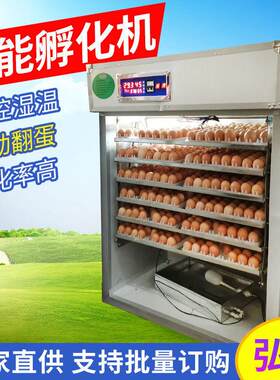 全自动孵化机528枚鸡鸭鹅蛋孵化器大中小型家用孵化机出雏机设备