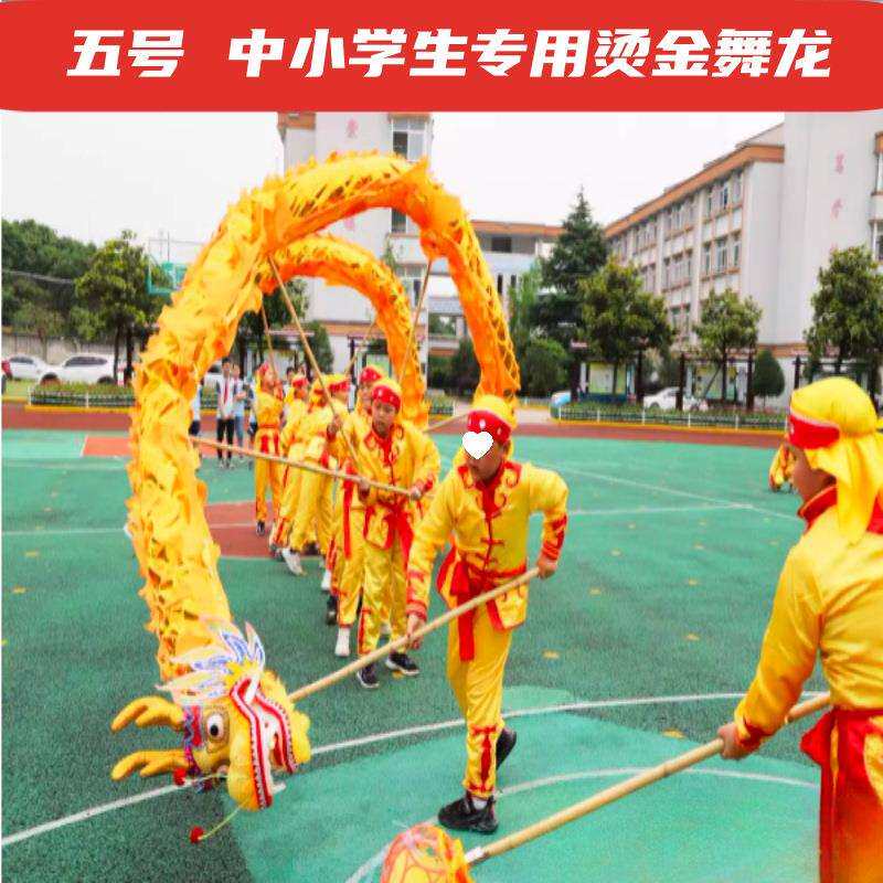 5号中小学生儿童舞龙舞狮道具绸缎布龙女子五号龙头9节钢丝圈龙灯