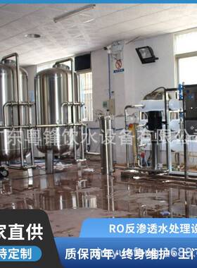 工业纯净水设备水处理设备反渗透纯水设备纯水机商用净水器