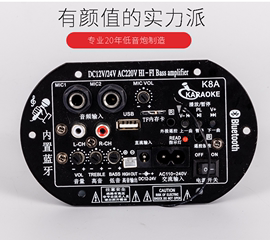 大功率蓝牙功放板12V24V220V低音炮功放板音箱主板双话筒内置蓝牙