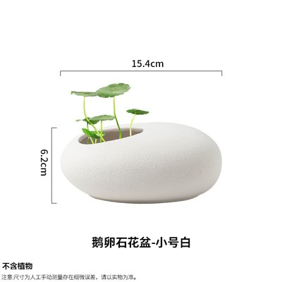 水培花盆叶莲铜钱金钱水仙花瓶