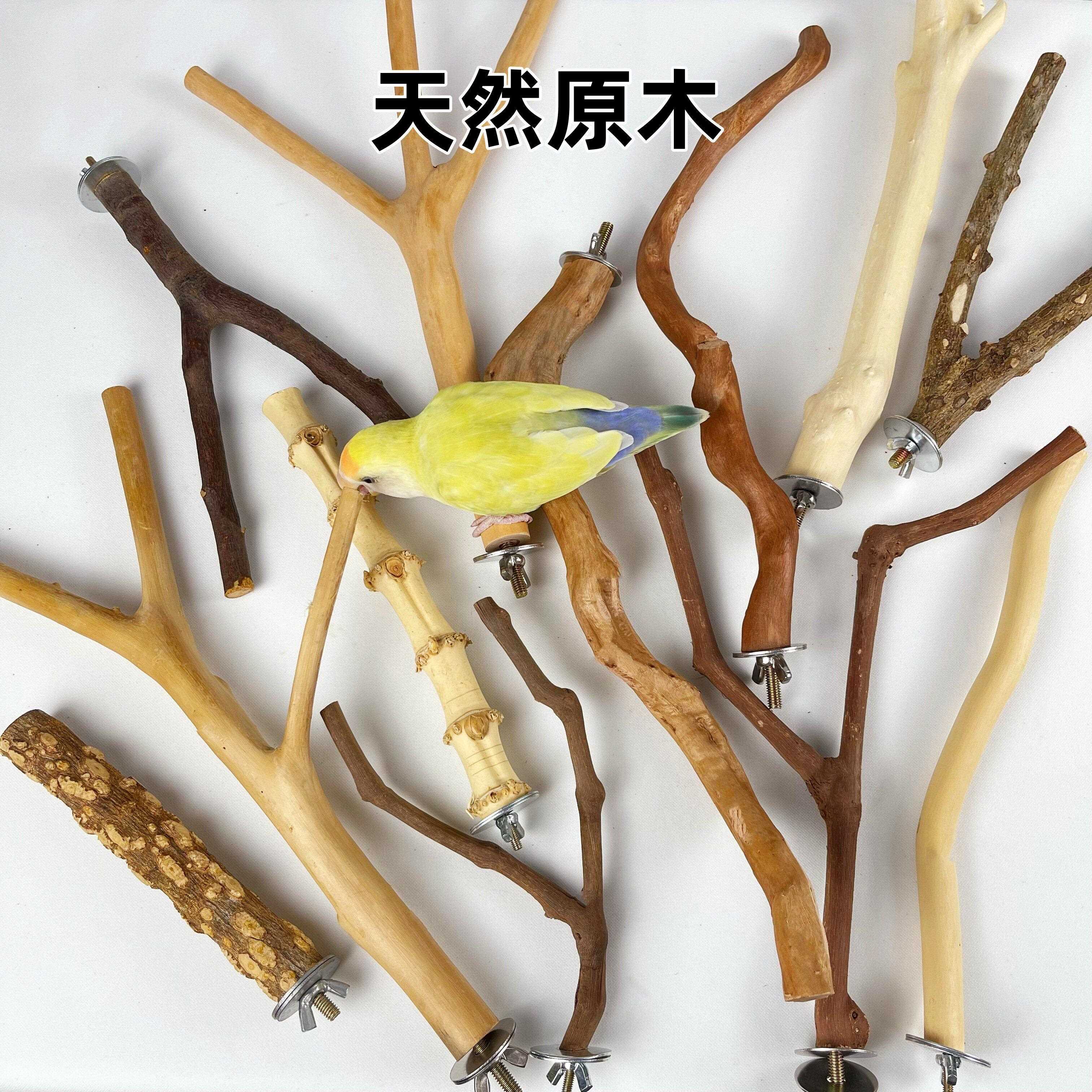 花椒木站杆小鸟鹦鹉原木葡萄木树枝杜鹃木鸟笼站架实木站棍玩具