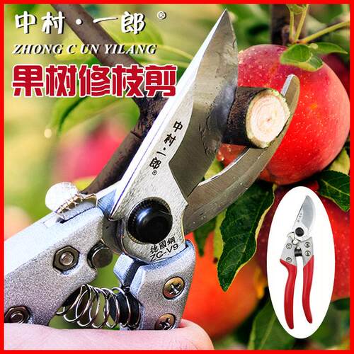 中村一郎sk5果树修枝剪园林园艺剪刀家用剪树枝修花摘果园艺剪刀