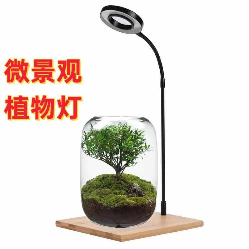 包邮led竹板鱼缸灯微景观补光灯桌面水族缸射灯多肉植物灯水草灯