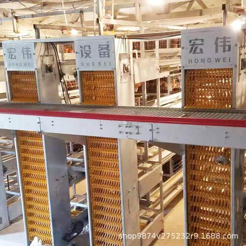 河南厂家自动化养鸡设备全自动捡蛋机集约化养鸡设备现货销售