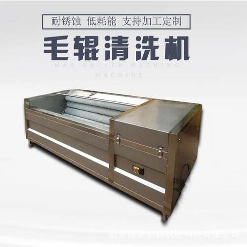 土豆清洗去皮机 莲藕红薯芋头生姜马蹄毛刷去皮清洗机工厂直销